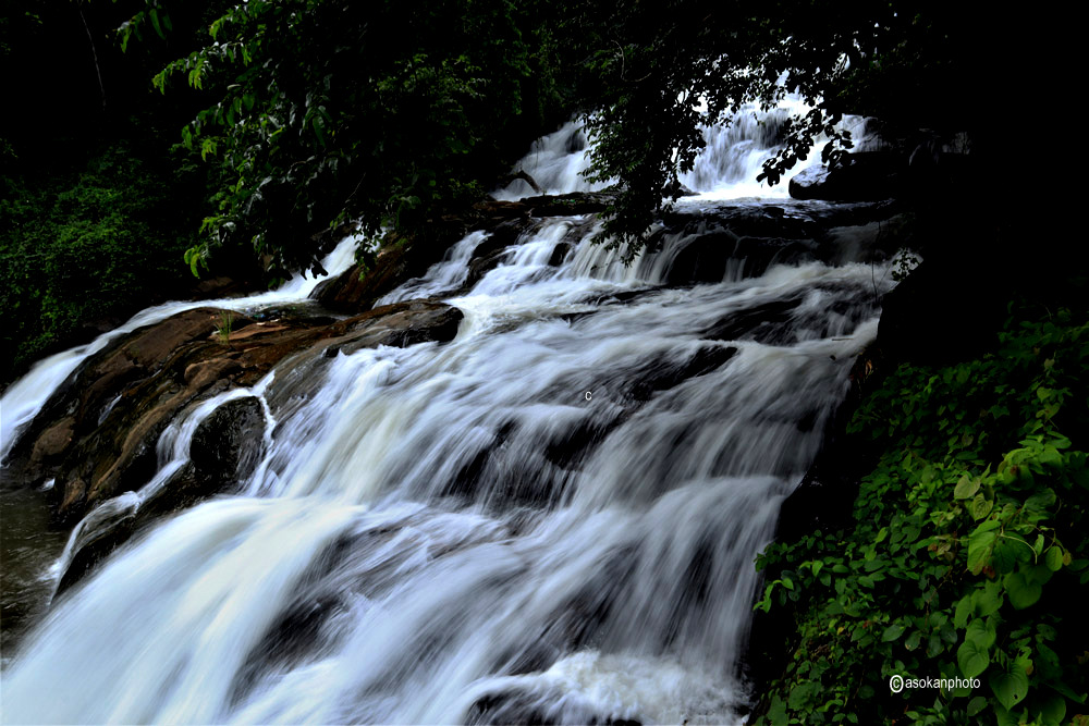 Aruvikuzhi Waterfalls Kottayam