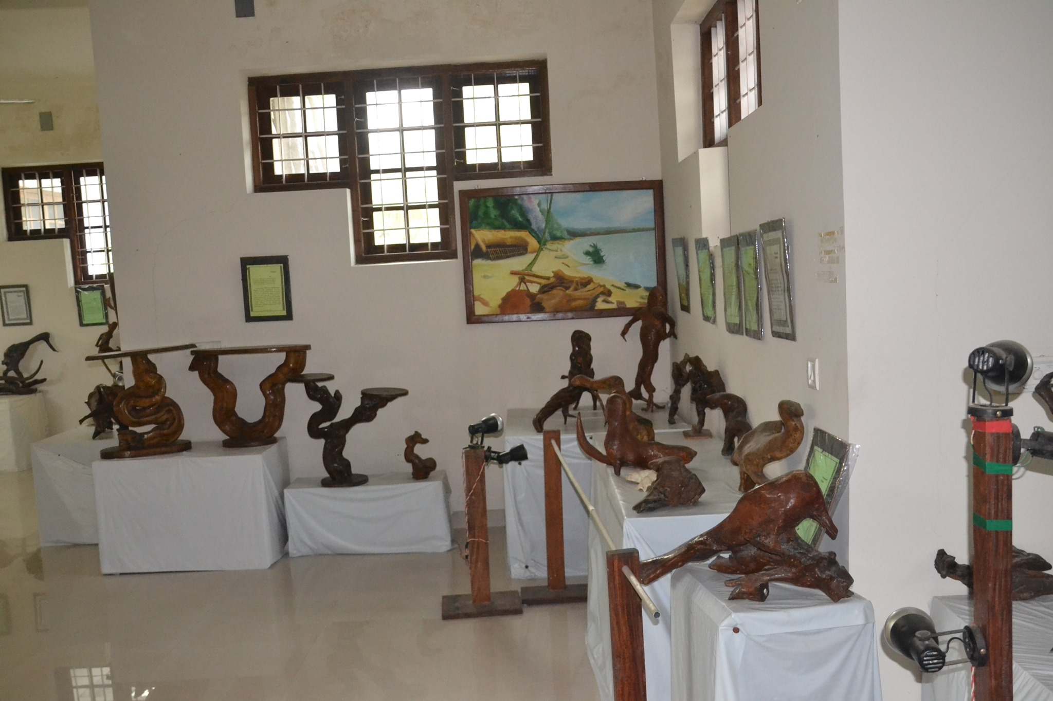 Driftwood Museum 200 different types of driftwood sculptures 
