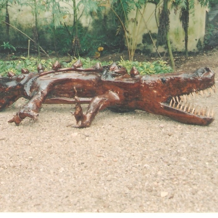 Driftwood Fossil Museum Kottayam images