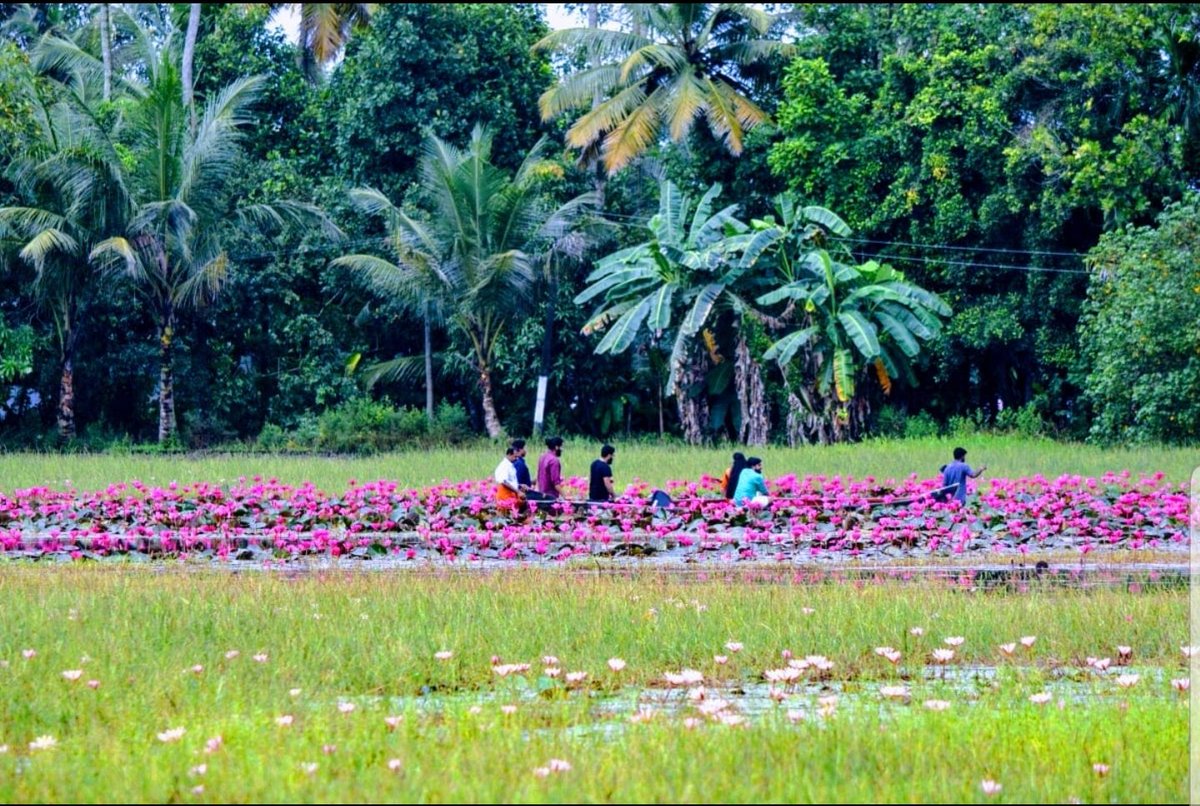 Main tourist attraction in Kottayam