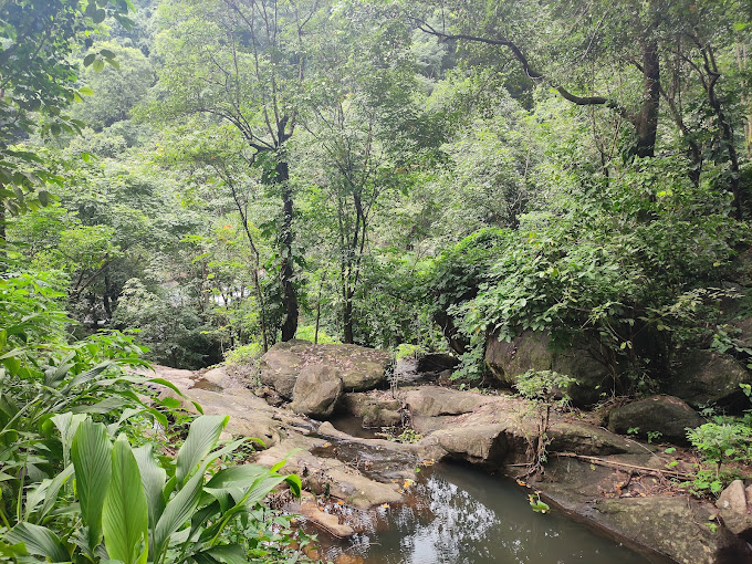 Main tourist attraction in Kottayam