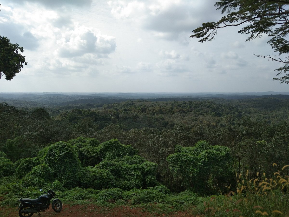 Mathrumala Kottayam Visiting time