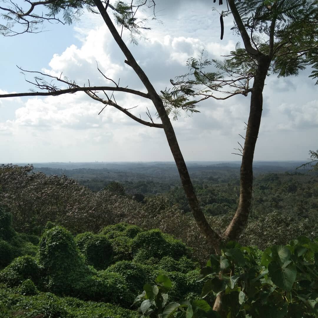 Main tourist attraction in Kottayam