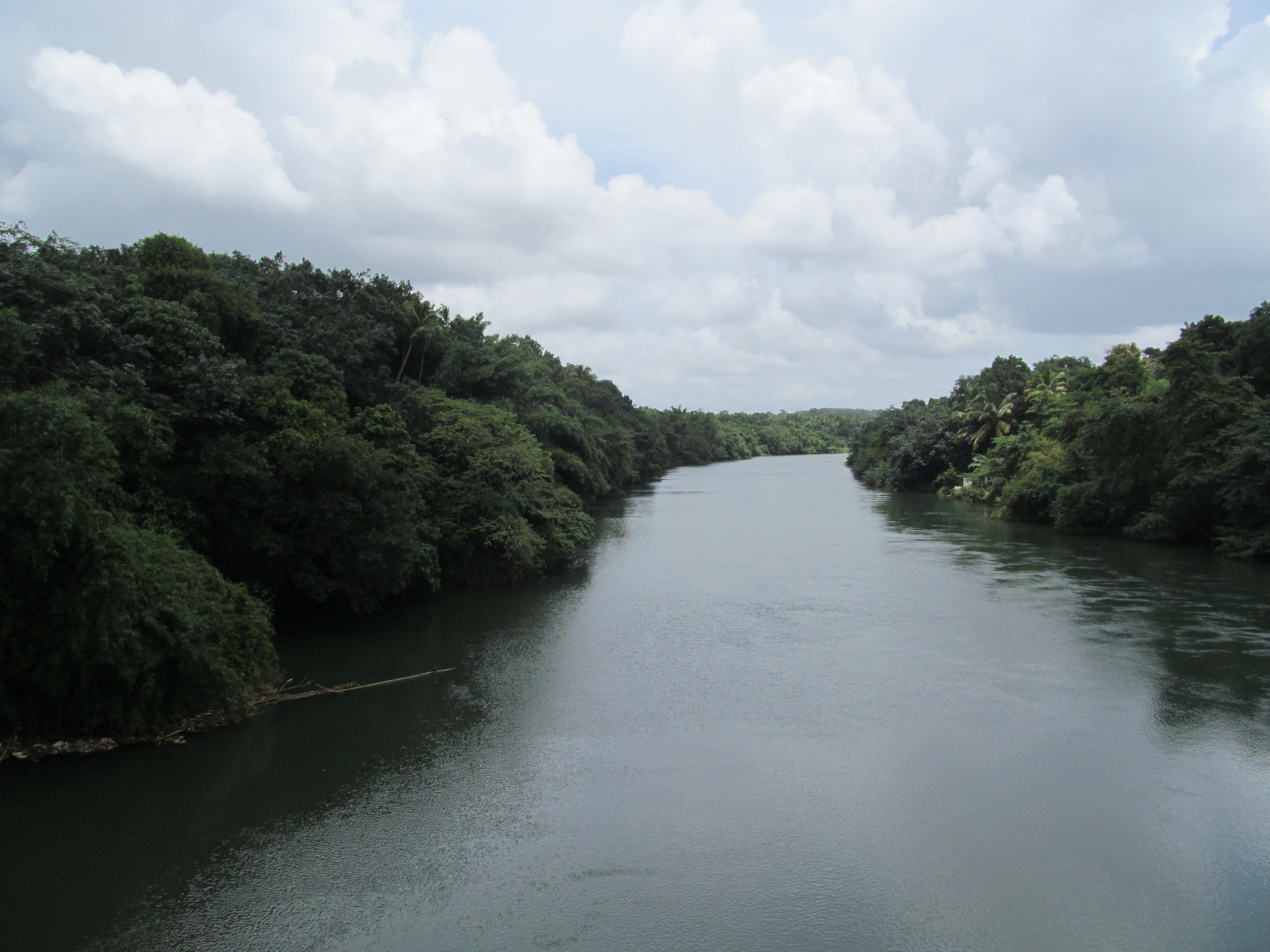 Meenachil River boat races