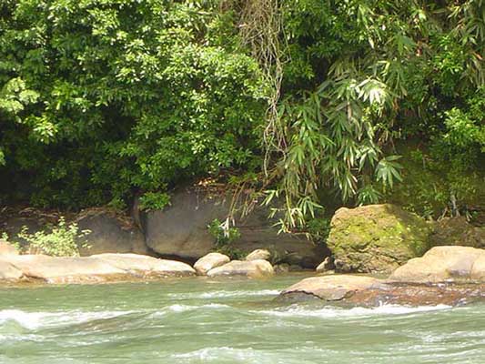 Meenachil River is also famous for its boat races