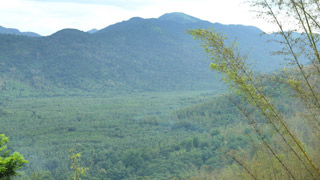 Nadukani Kottayam Transpotation