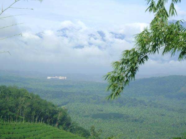 Nadukani Kottayam History