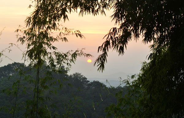 Nadukani Kottayam images