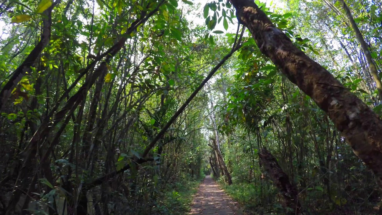 Main tourist attraction in Kottayam