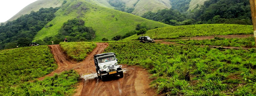 Periyar National Park Kottayam images