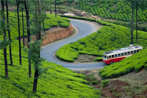 Vennimala entry details